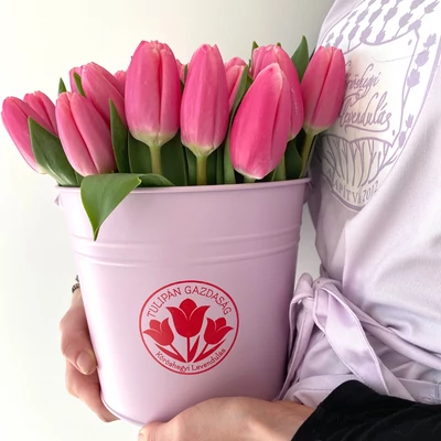 Tulipán box 