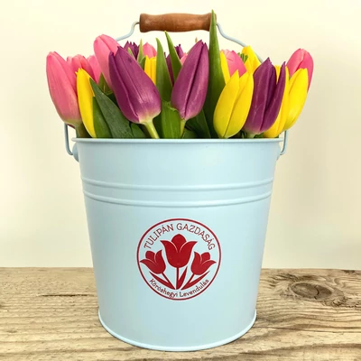 Tulipán box 
