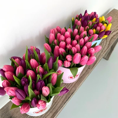 Tulipán box 